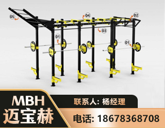 宝鸡多功能健身器材